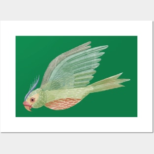 Parrot in Flight Posters and Art